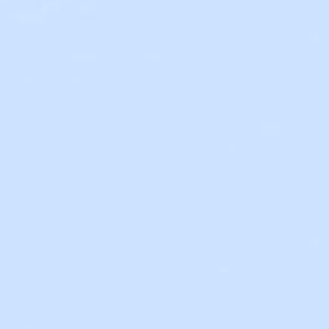 Meet your Posher, Ximena